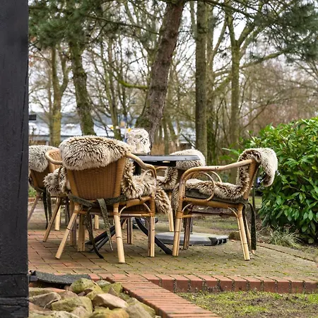 לינה וארוחת בוקר Kleiner Storch - Seehotel Duemmer Hüde